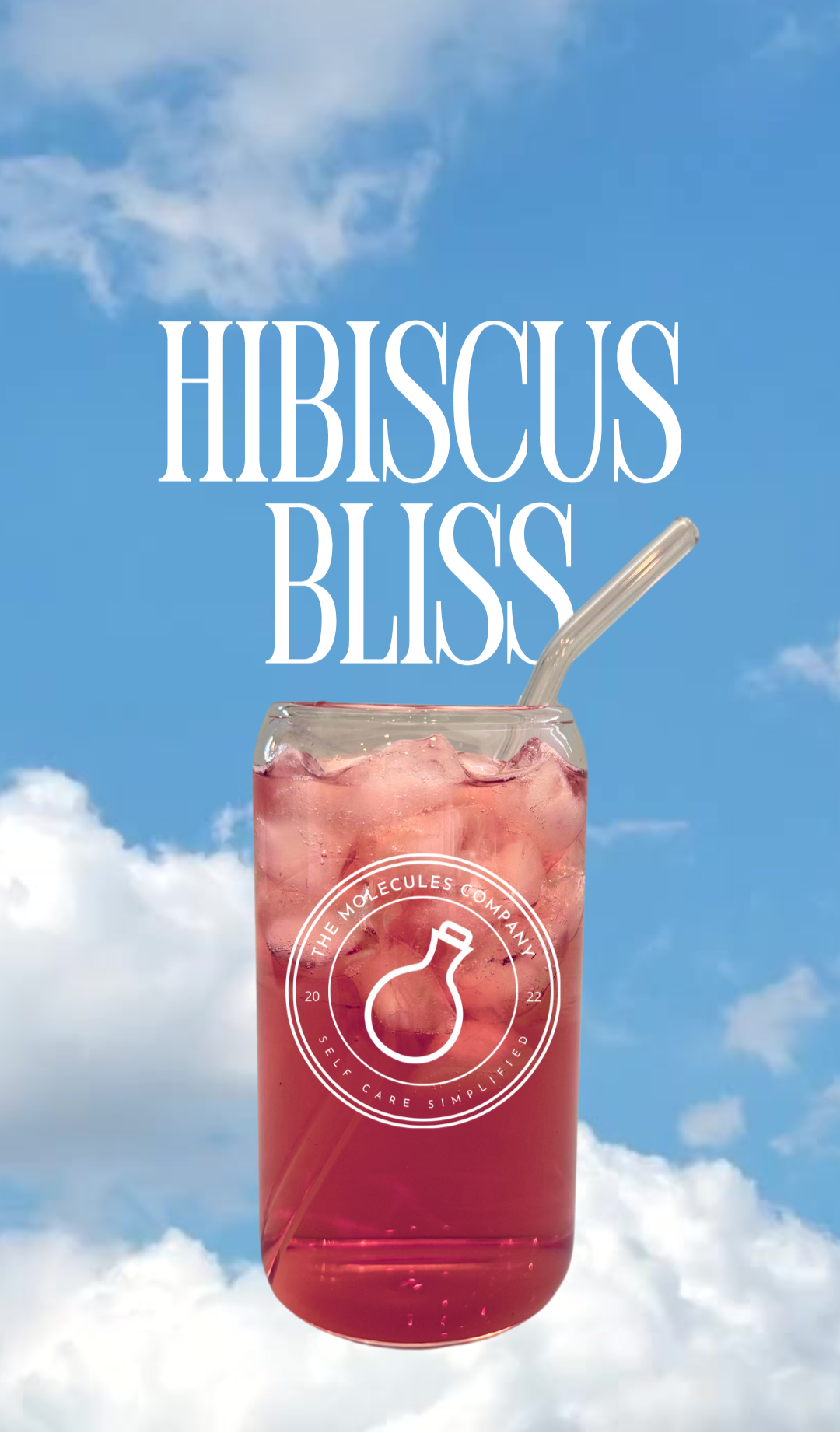 Hibiscus Bliss Tea